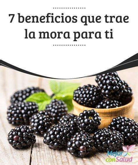 7 Beneficios De La Mora Nutrition Recipes Watermelon Benefits Nutrition