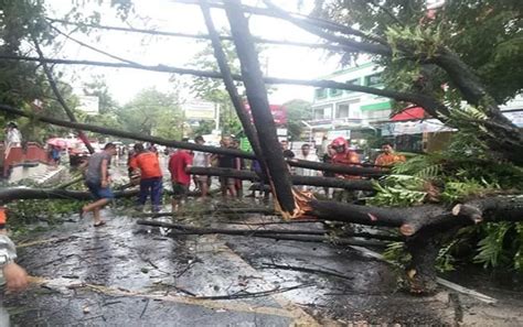 Pohon Tumbang Menimpa LAA Jalur Tanah Abang Manggarai KRL Terhambat