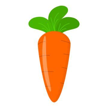 Cartoon Carrot Illustration Organic Vegetables Harvest