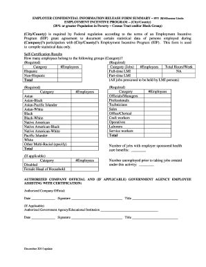 Fillable Online Dca State Ga An EIS Stat Cert Summary 20 POV Sample