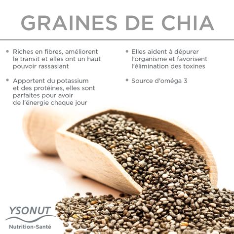 Les Bienfaits Des Graines De Chia Artofit