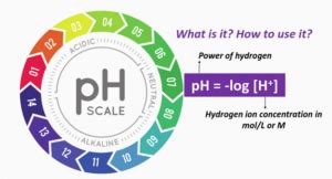 PH Log H Equation How To Solve Units Where To Use