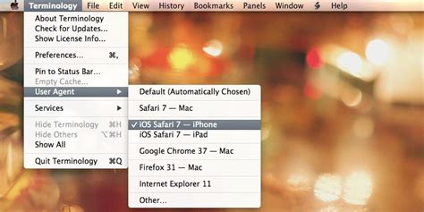 terminology  mac sayz lim