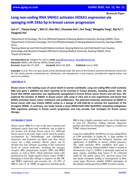 PDF Long Non Coding RNA SNHG1 Activates HOXA1 Expression Via Sponging