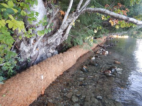 Coir And Stone Revetment Habitat Landscape