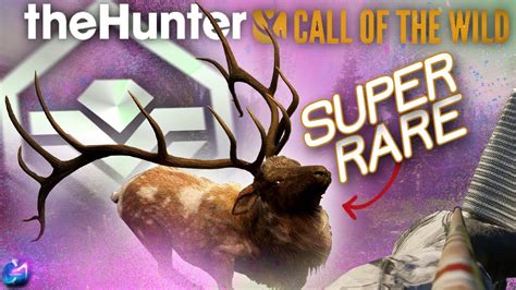 FINALLY The SUPER RARE Piebald Rocky Mountain Elk 13m With The