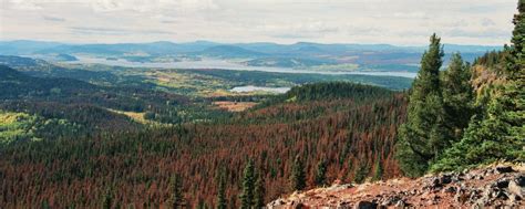 Fraser Lake | British Columbia - 1000 Towns of Canada