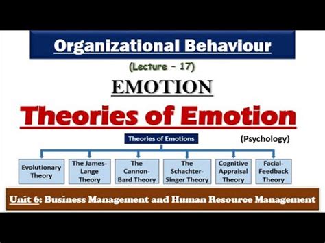 Theories Of Emotion In Psychology Emotion In Organizational Behaviour