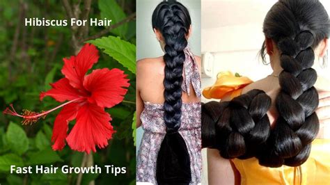 Hibiscus For Hair Growth Review How To Use Hibiscus For Hair Rbeautyhealth6