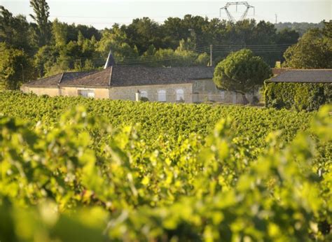 Ch Teau Peychaud Crus Et Domaines De France