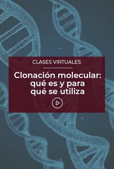 Clonación Molecular Qué Es Y Para Qué Se Utiliza Esneca Tv