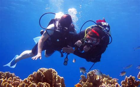 Scuba Diving In Pondicherry Dive Into The Magical Blue