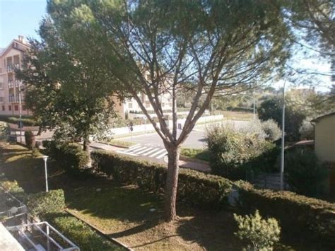 Terni Beni Comuni Un Patto Per Il Parco Di Campomaggiore Tree Trunk