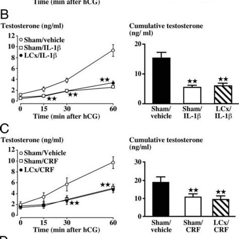 Effect Of Electrolytic Lesions Of The Dorsal Pons Locus Coeruleus Lcx