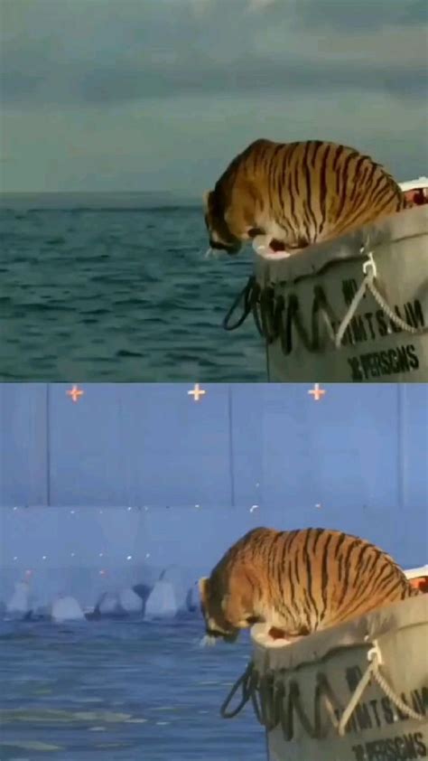 The Mind-Blowing Truth Behind Life of Pi's Final Moments Uncovered