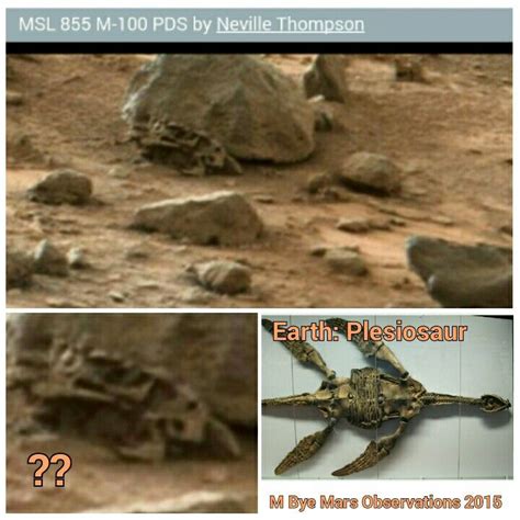 Mars Anomalies