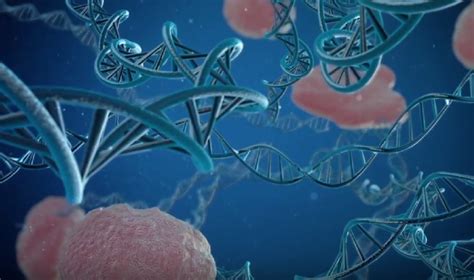 CRISPR Used To Edit Genes In Human Embryos Asian Scientist Magazine