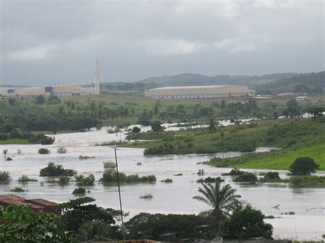 BIOLOGIA CULTURA E INFORMAÇÃO Governador do Estado de Pernambuco