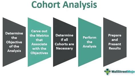 Cohort Analysis - Definition, Types, Steps and Examples