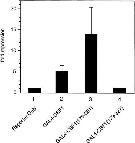 A Histone Deacetylase Corepressor Complex Regulates The Notch Signal