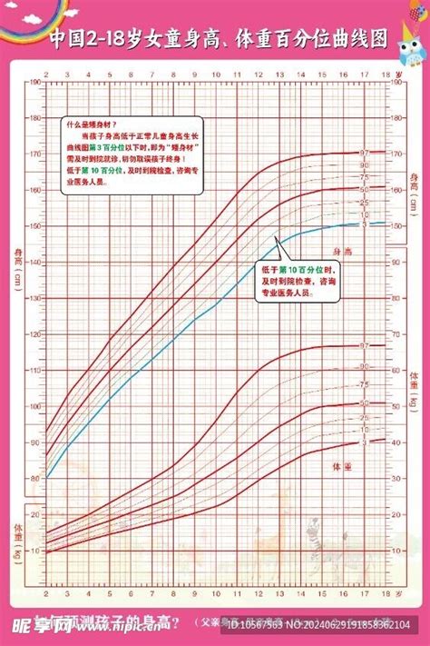 女童身高体重曲线图设计图 其他 广告设计 设计图库 昵图网