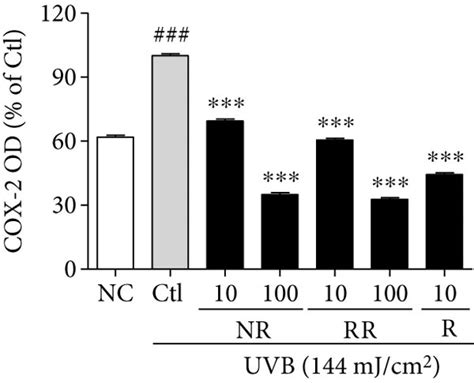 Proinflammatory Cytokines Tnf α And Il 6 Secretion And Inflammatory