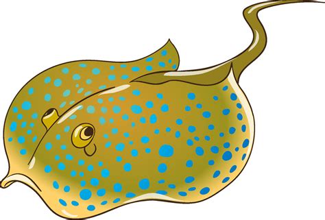 Stingray Clipart Free Download Transparent Png Clipart Library 3296920