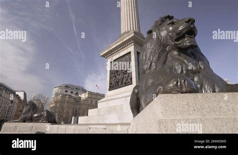 Trafalgar Square London Lion Stock Videos Footage Hd And K Video