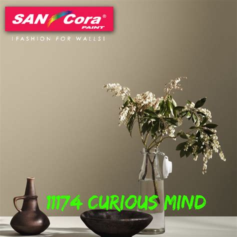 SINAR SANCORA 11174 CURIOUS MIND 5 LITER I EMULSION Interior Exterior