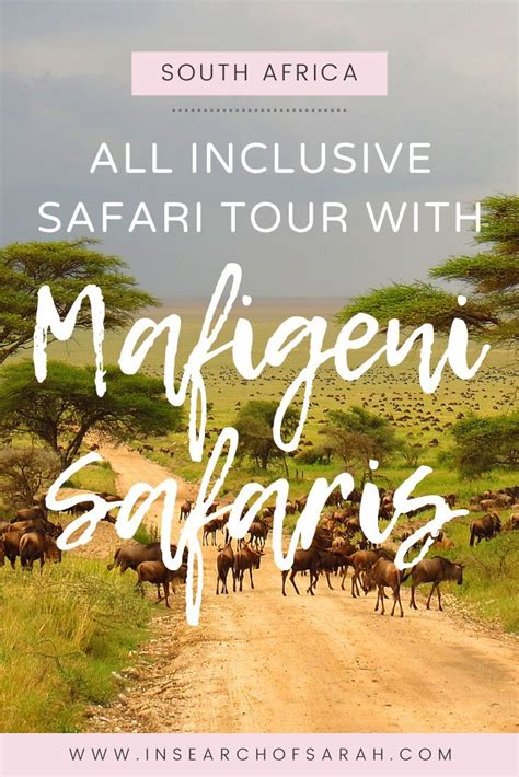 All Inclusive Safari Tour With Mafigeni Safaris South Africa South Africa Travel Africa