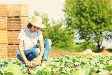 Emprendedores Rurales Ya Est Abierta La Convocatoria De Ruralizable