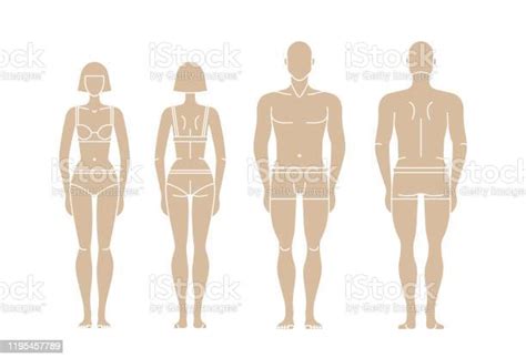 Figures Of Man And Woman Vector Isolated Editable Template Stock Illustration Download Image