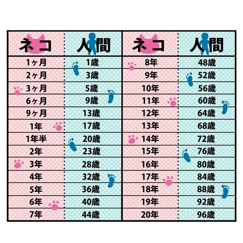 18歳 猫 人間 年齢