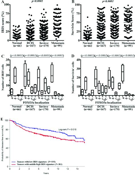 Elevated BRCA1 IRIS And Survivin And Lack Of FOXO3a Expression