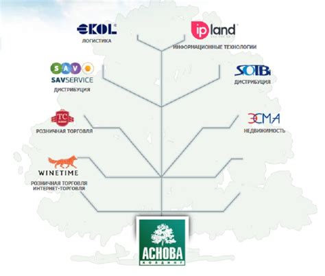 Аснова Холдинг — Latifundist.com