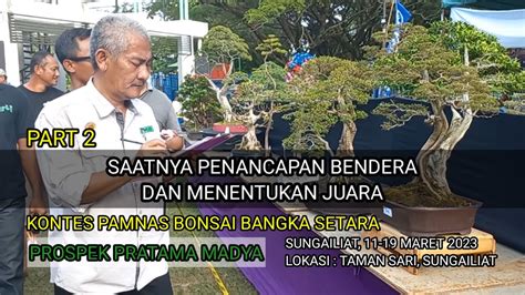 Kontes Bonsai Pamnas Bangka Setara Saatnya Penancapan Bendera Dan