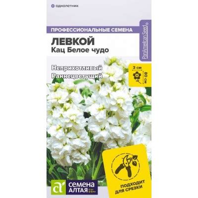 Цветы Левкой Кац Белое чудо махровый/Сем Алт/цп 8 шт. НОВИНКА