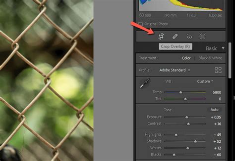 Formas R Pidas De Rotar Una Imagen En Adobe Lightroom