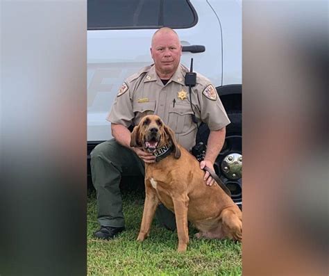 Obion County Sheriffs Office Announces Death Of K9 Rowdy News Wpsd