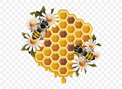 Honey Bee Worker Bee Beehive, PNG, 600x600px, Bee, Beehive, Bumblebee, Cut Flowers, Drawing ...