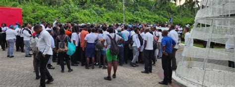 WORKERS WALK OFF JOB AT BAHIA North Coast Times Jamaica