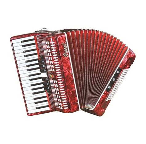 Parrot Accordion Yw871 37 Key 96 Bass With 7 3 Registers Yw871