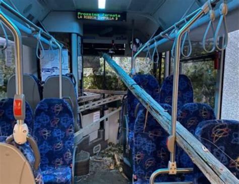 Sandrà malore dell autista il bus finisce in un vigneto Daily