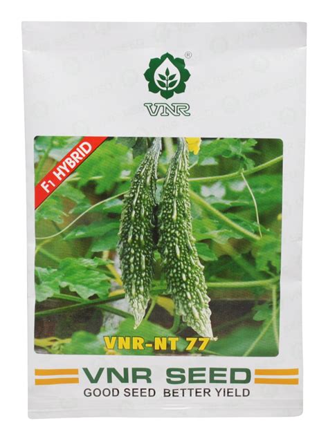 Vnr Nt 77 F1 Hybrid Bitter Gourd Seeds 50 G Garden And Outdoors