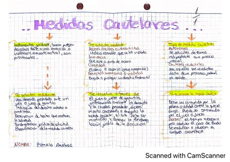 Medidas Cautelares Mapa Conceptual Derecho Penal Studocu