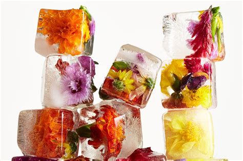 How To Make Prettier Ice Cubes Artofit