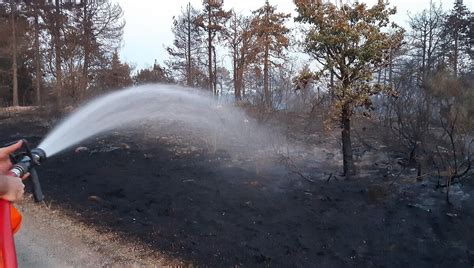 Environ Huit Hectares De Végétation Brûlés Sur La Commune De Saint Lys