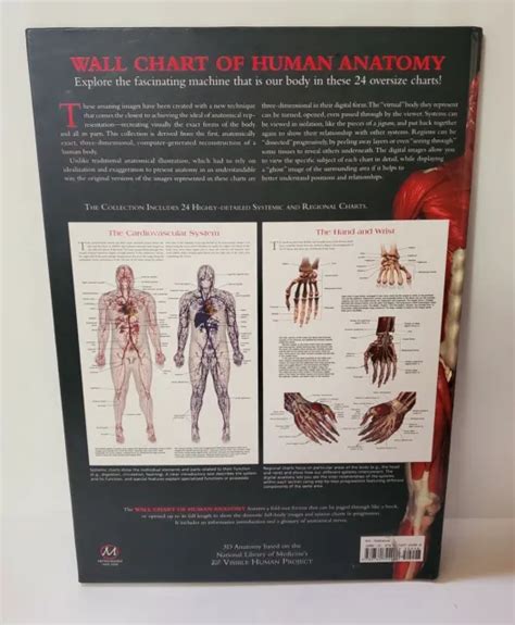 WALL CHART OF Human Anatomy 3D Full Body Images And System Charts Book