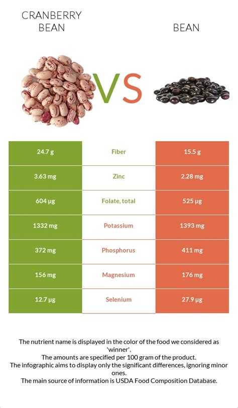 Cranberry Beans Vs Bean — In Depth Nutrition Comparison