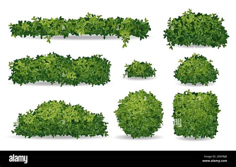 Set Of Realistic Green Bushes And Tree Crowns Isolated On White